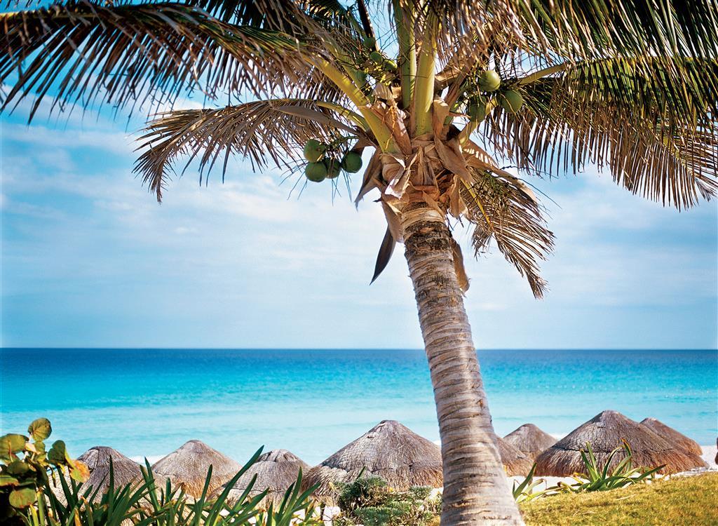 The Westin Lagunamar Ocean & Resort 5*