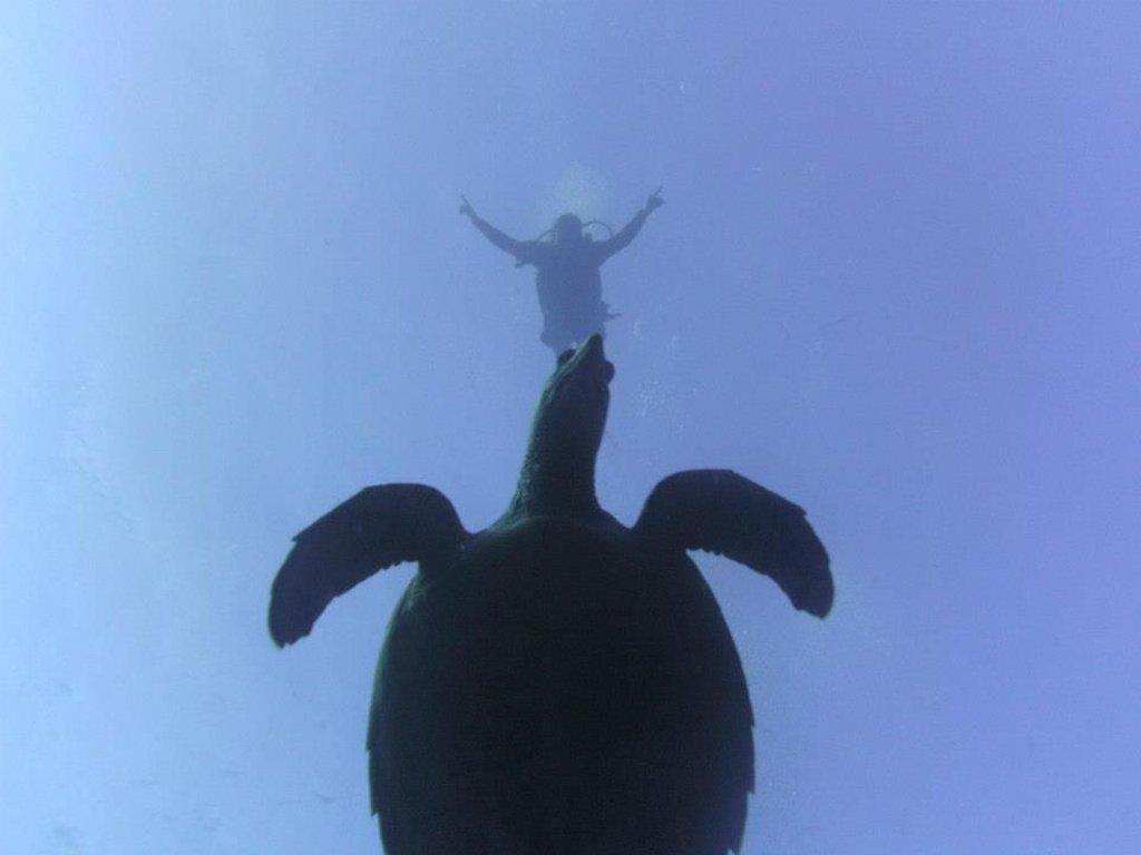 Beachouse Dive