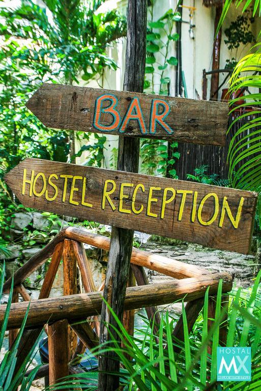 Hostal Mx 5Th Avenue