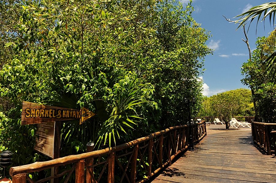 Resort Bel Air Collection & Riviera Maya 4*