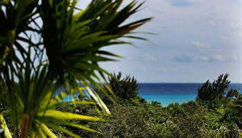 La Semilla A Member Of Design (adults Only) Hotel