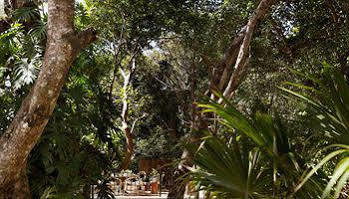 La Semilla A Member Of Design (adults Only) 4* Playa del Carmen