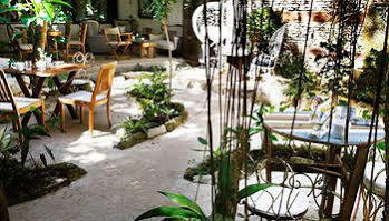 La Semilla A Member Of Design (adults Only) Hotel Playa del Carmen