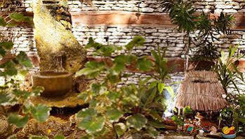 La Semilla A Member Of Design (adults Only) 4* Playa del Carmen