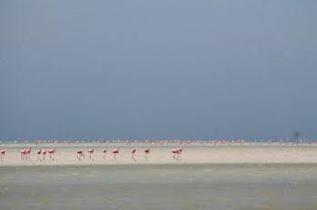Puerto Front Hotel Isla Holbox
