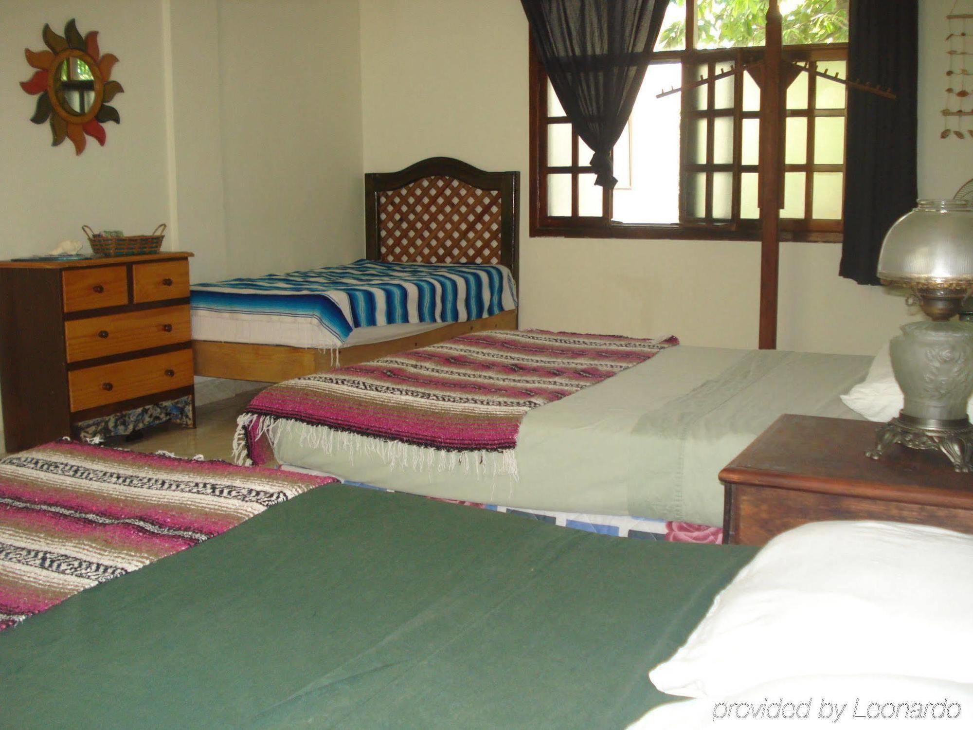 Beachouse Dive Hostel Cozumel