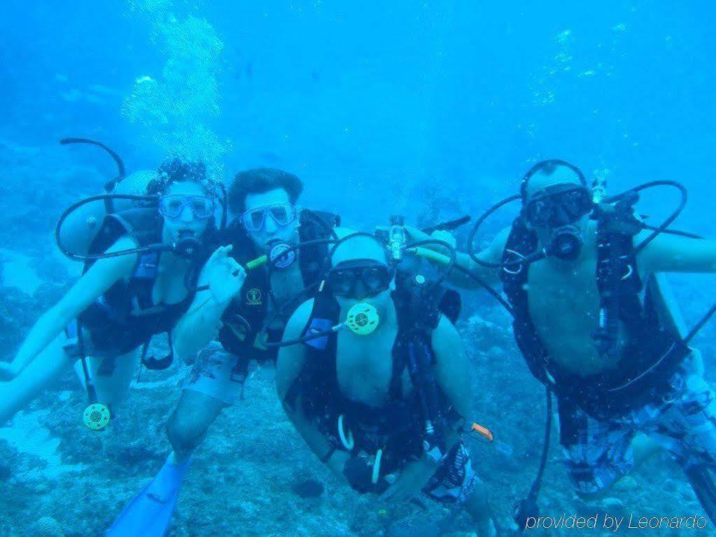 Beachouse Dive * Cozumel