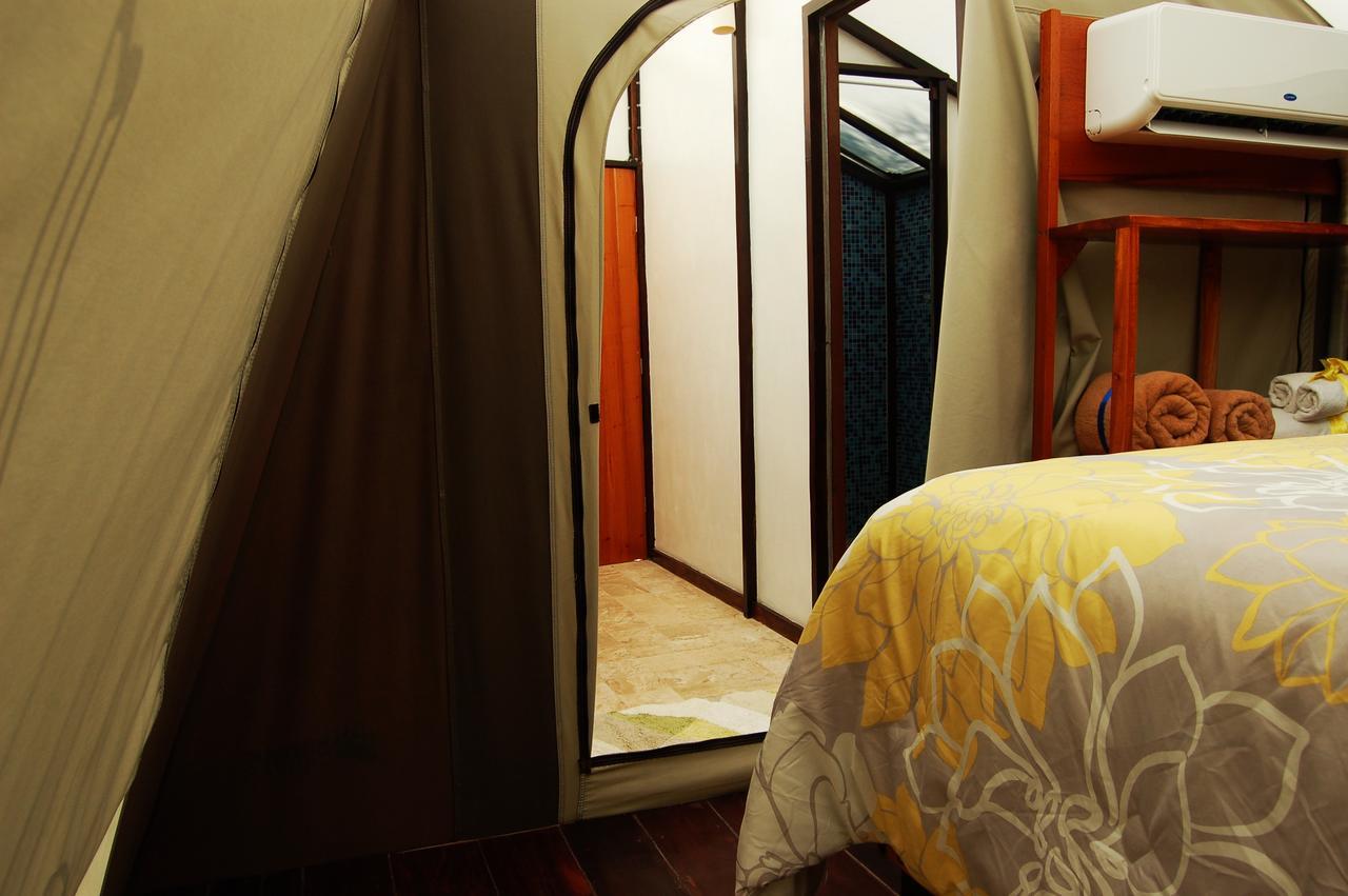 Rhincodon Typus Hotel