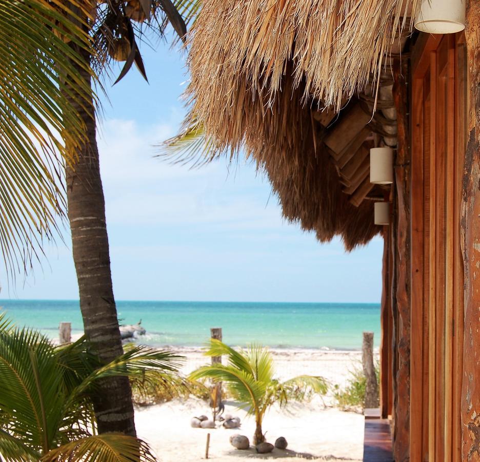 Hotel Rhincodon Typus Isla Holbox
