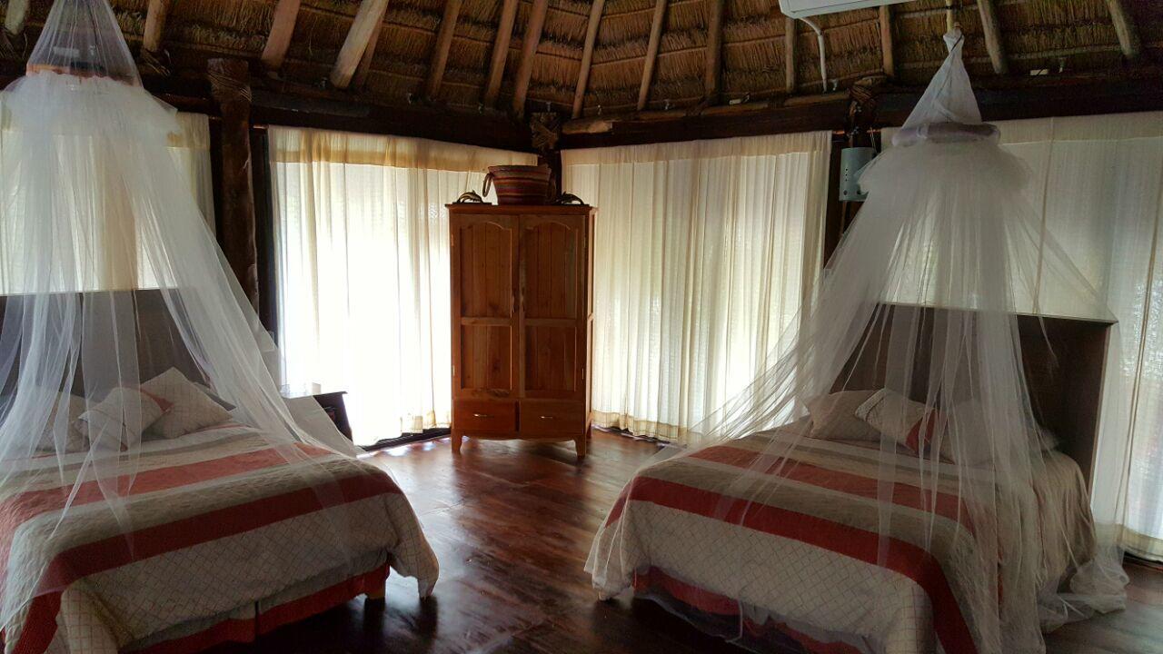 Hotel Rhincodon Typus