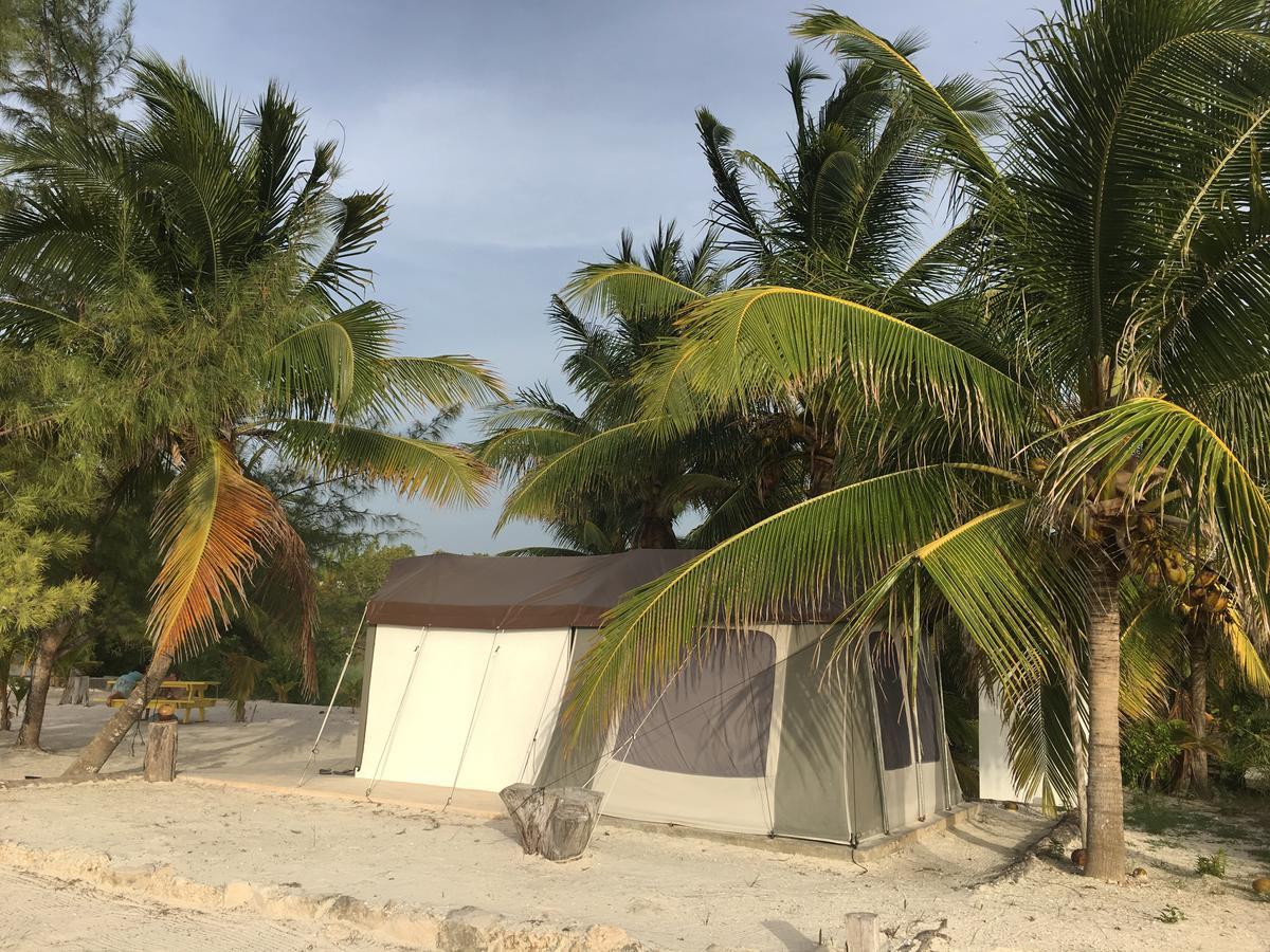 Rhincodon Typus Hotel