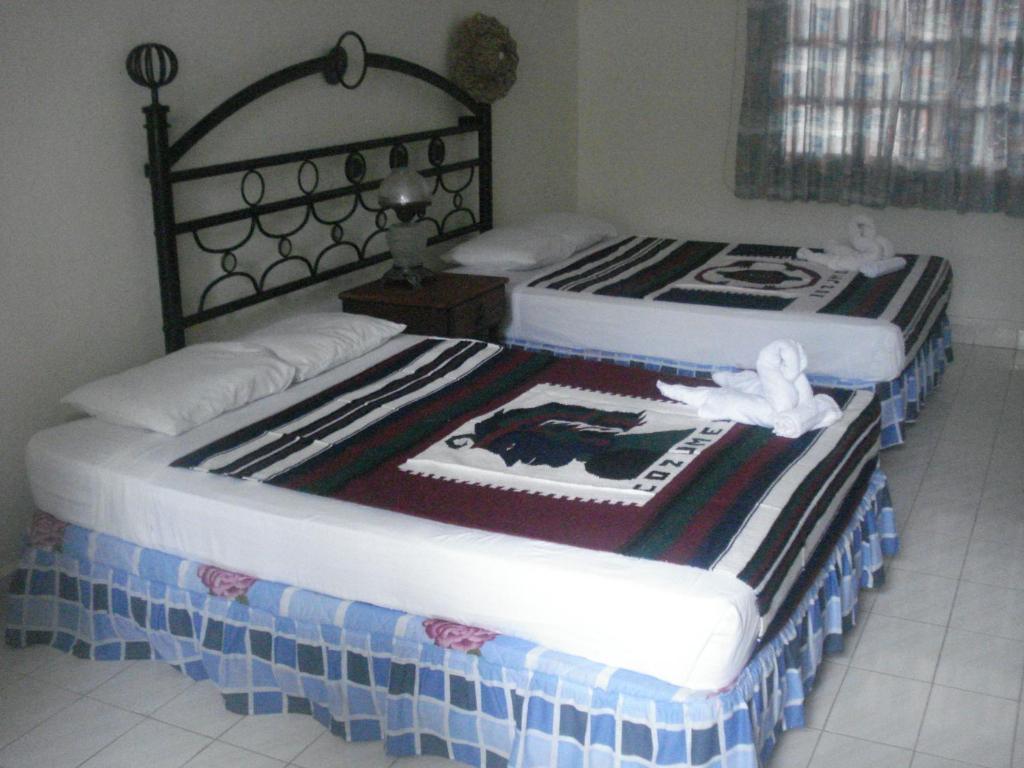 Hostel Beachouse Dive Cozumel