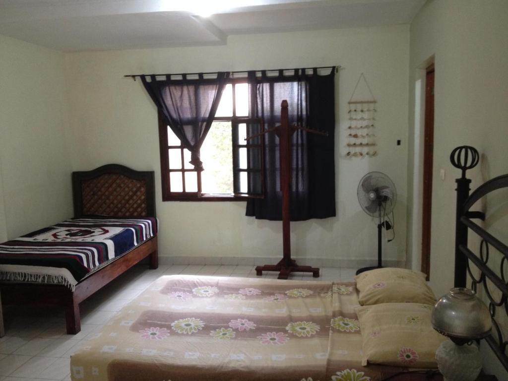 Hostel Beachouse Dive