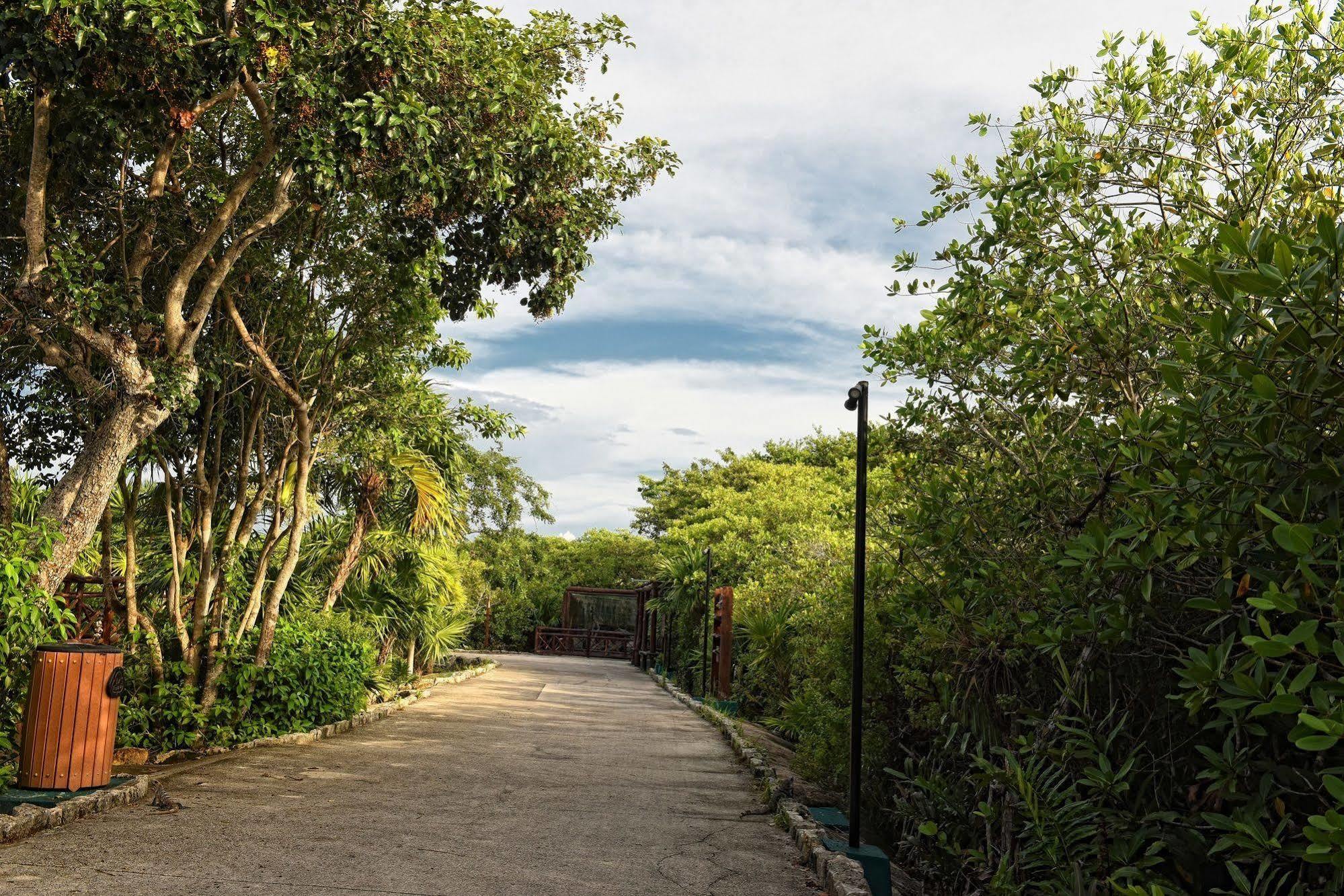 Bel Air Collection & Riviera Maya Resort Xpu Ha