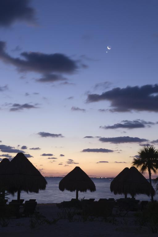 The Beloved (adults Only) Cancun