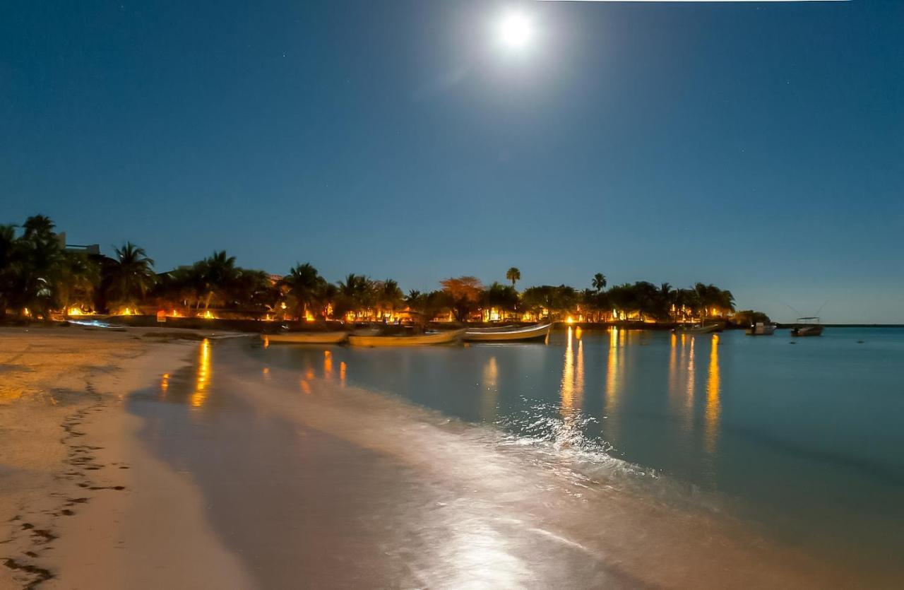 Amazing 2 Bedrooms With Pool Facilities, Balcony And High Speed Internet * Akumal