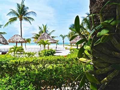 Puerto Front Isla Holbox