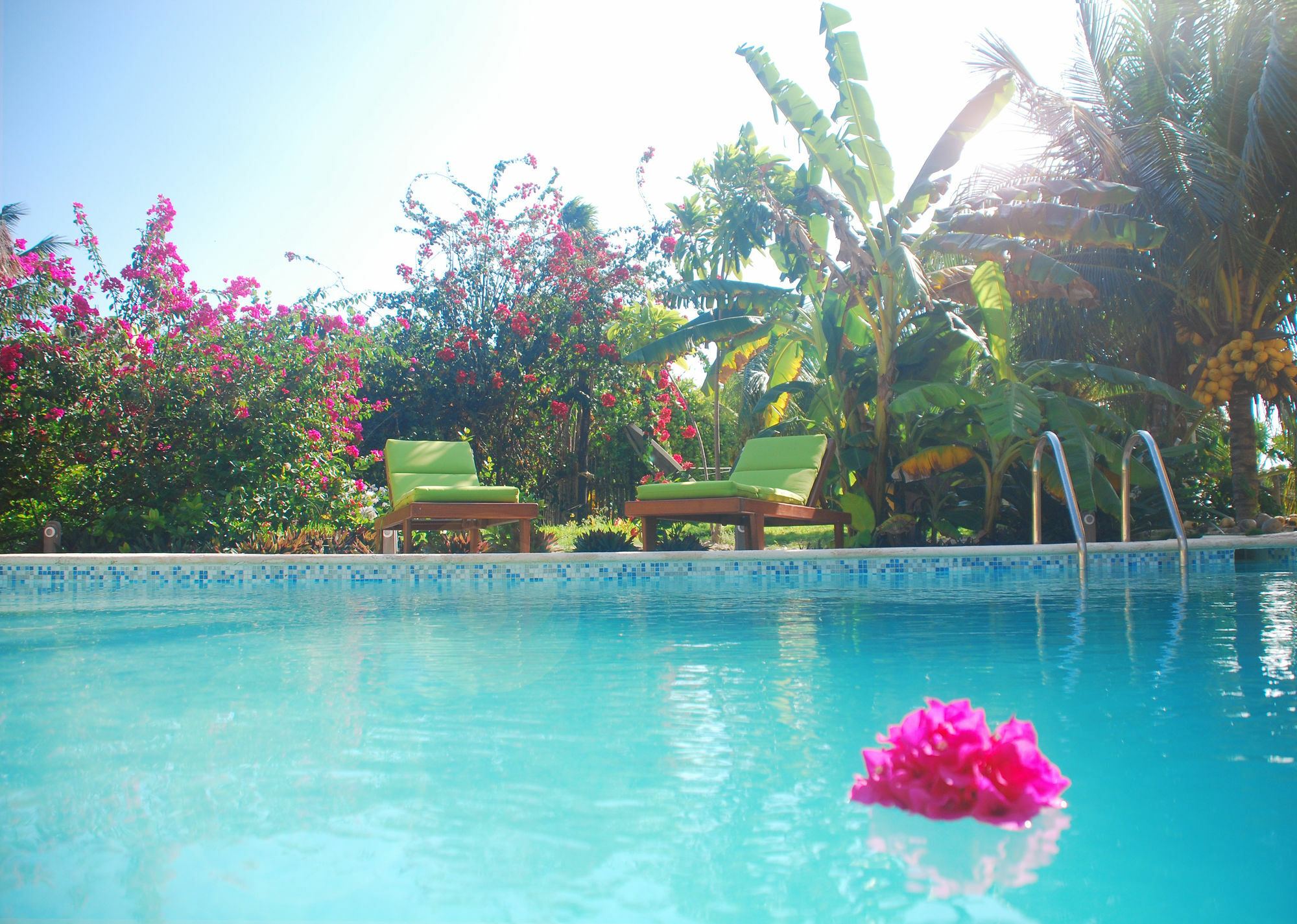 Margarita Del Sol Costa Maya