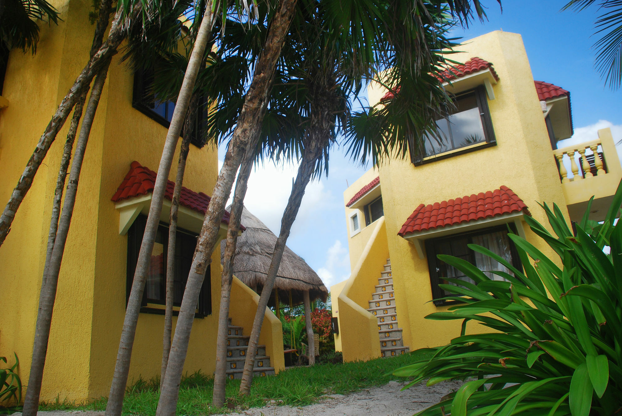 Margarita Del Sol Costa Maya Mahahual
