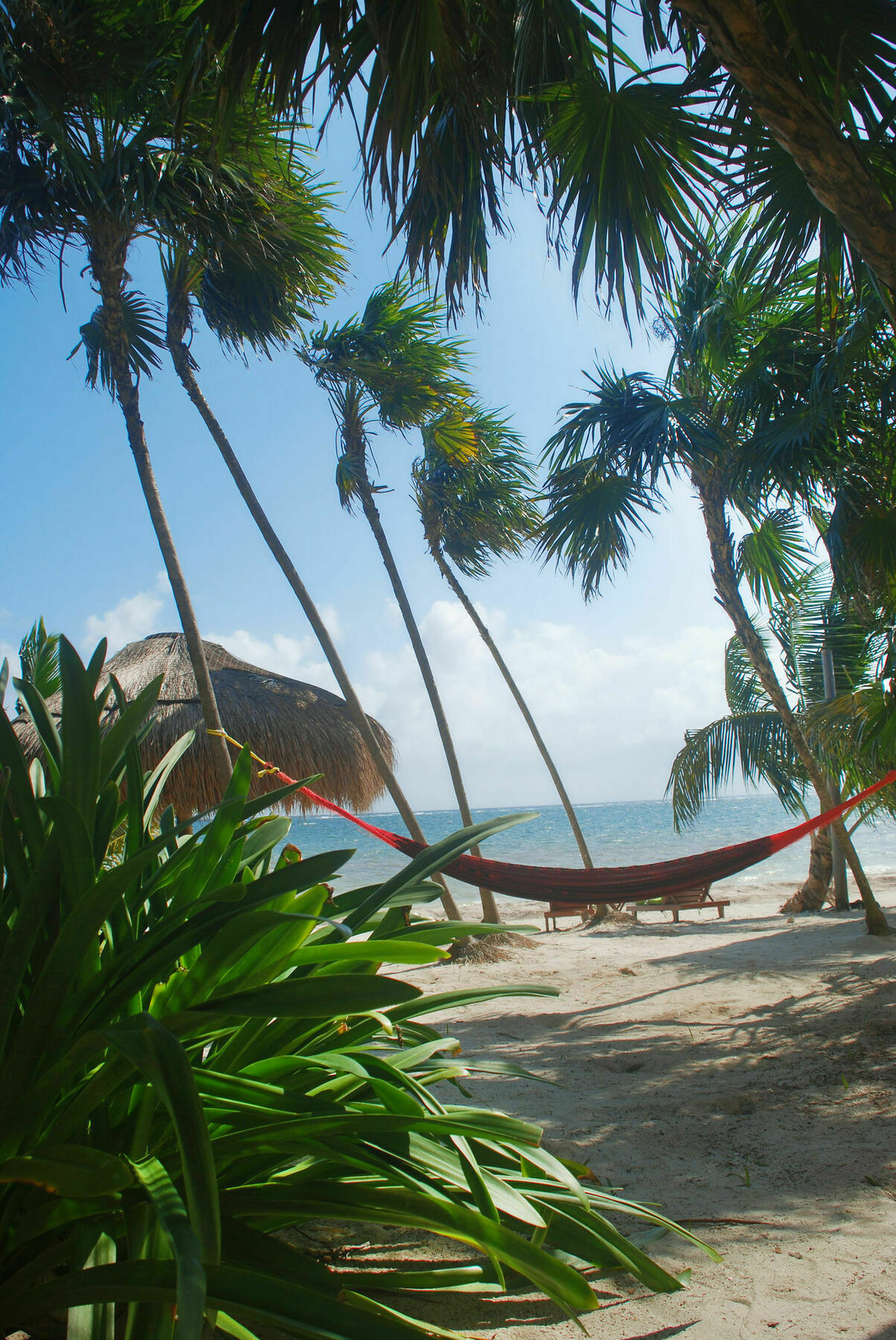 Margarita Del Sol Costa Maya 2* Mahahual