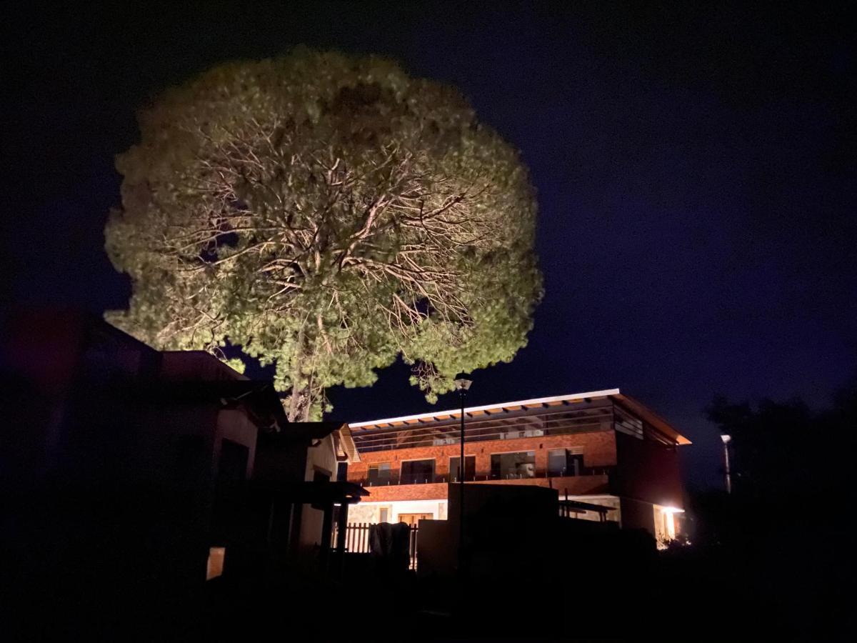 Quinta Gaes Lodge *
