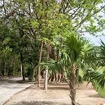 The Palm Luxury Villas Corasol By Lumina