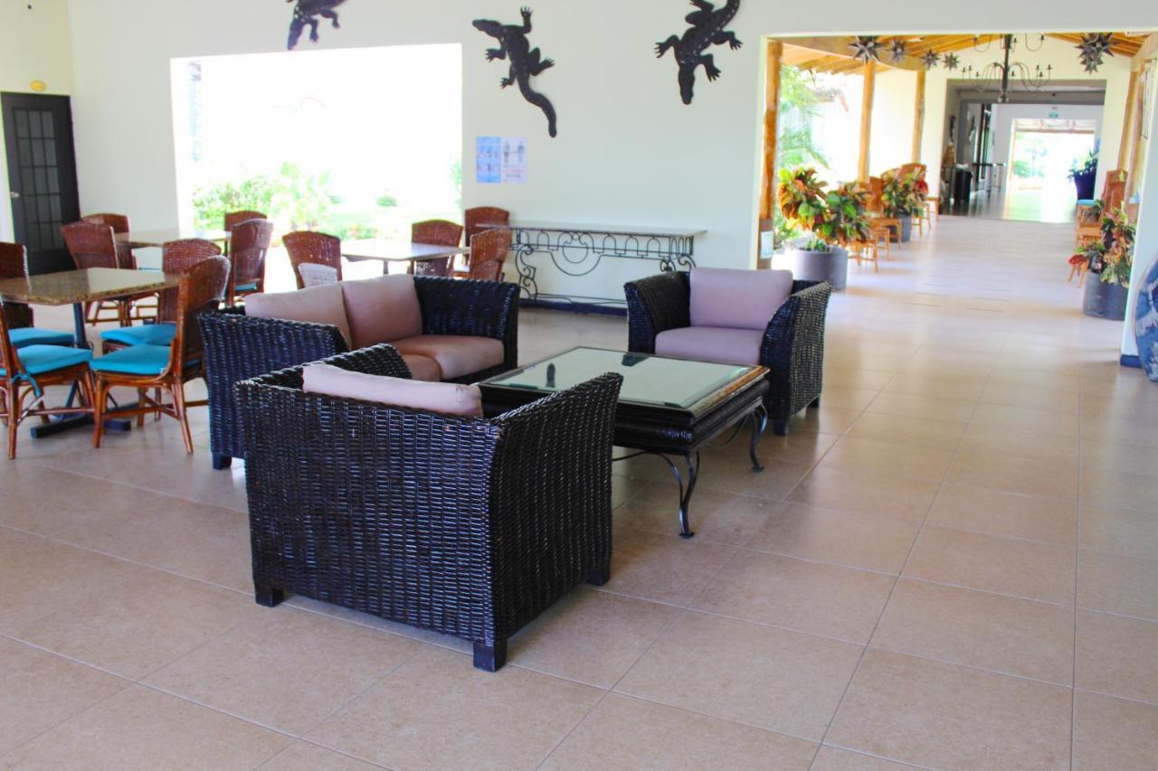 Palomas Vallarta Hotel Nuevo Vallarta