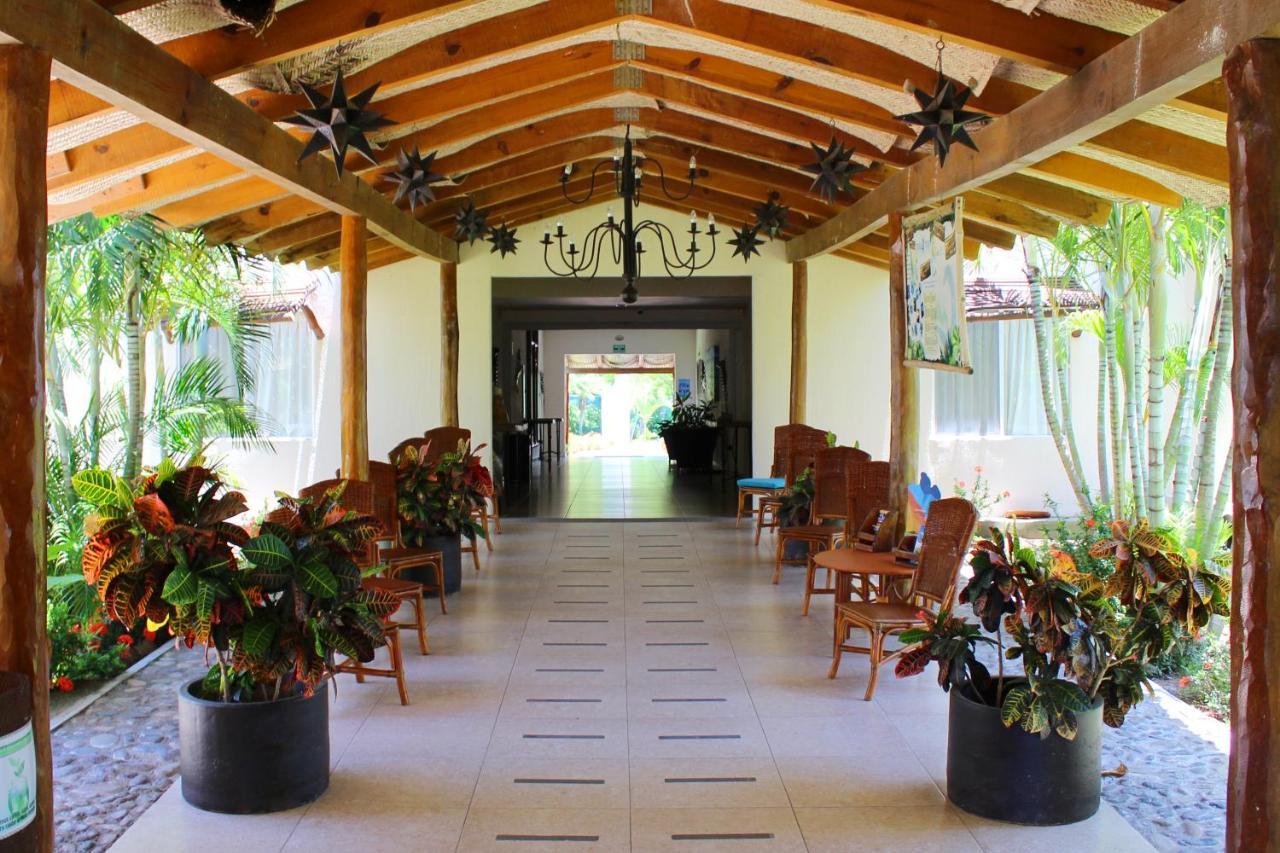 Palomas Vallarta Nuevo Vallarta