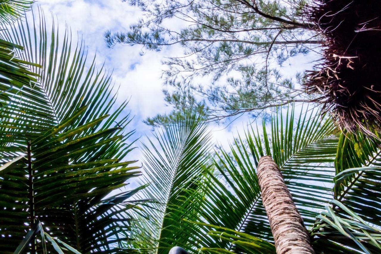 Bed & Breakfast Oostel Smart - Playa Tulum