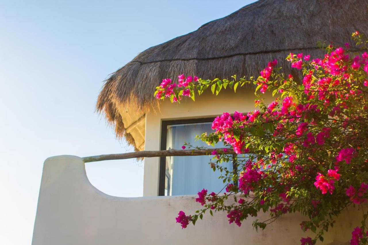 Hotel Kinbe - Few Steps From 5th Avenue And The Playa del Carmen