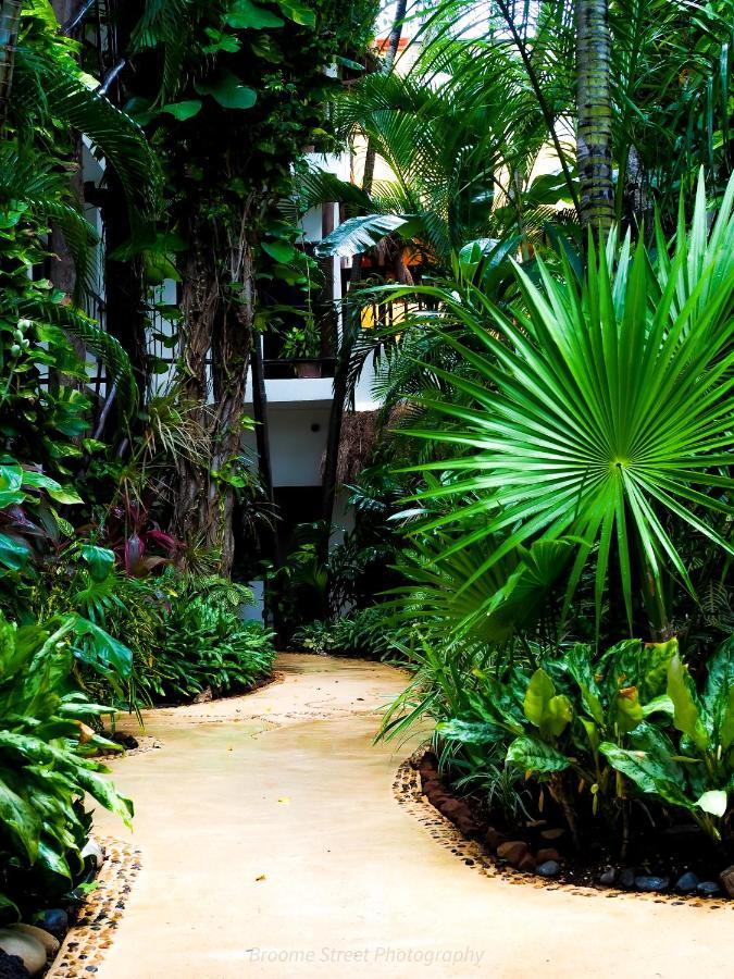 Kinbe - Few Steps From 5th Avenue And The Hotel Playa del Carmen