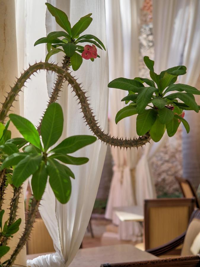 El Palacito Secreto Luxury Boutique & Hotel