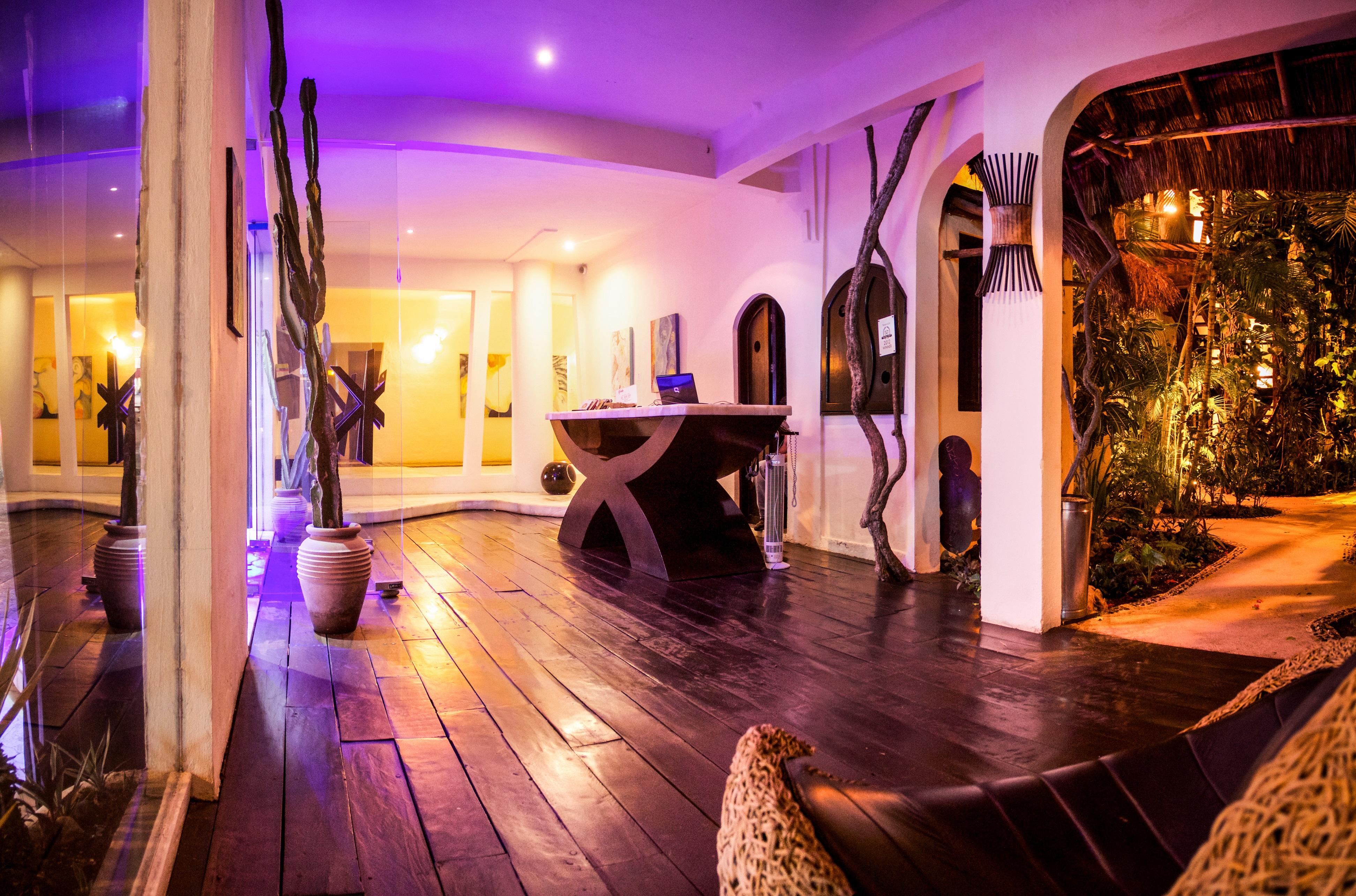Kinbe - Few Steps From 5th Avenue And The Hotel