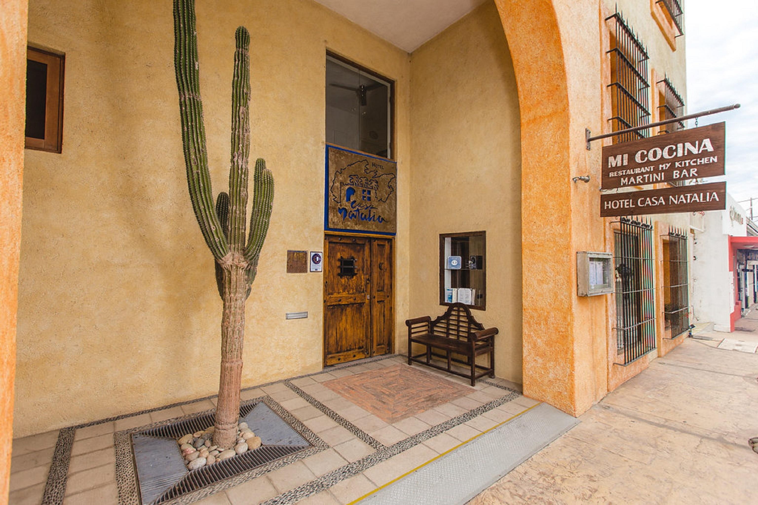 Casa Natalia Boutique Adults Only 4* San Jose del Cabo