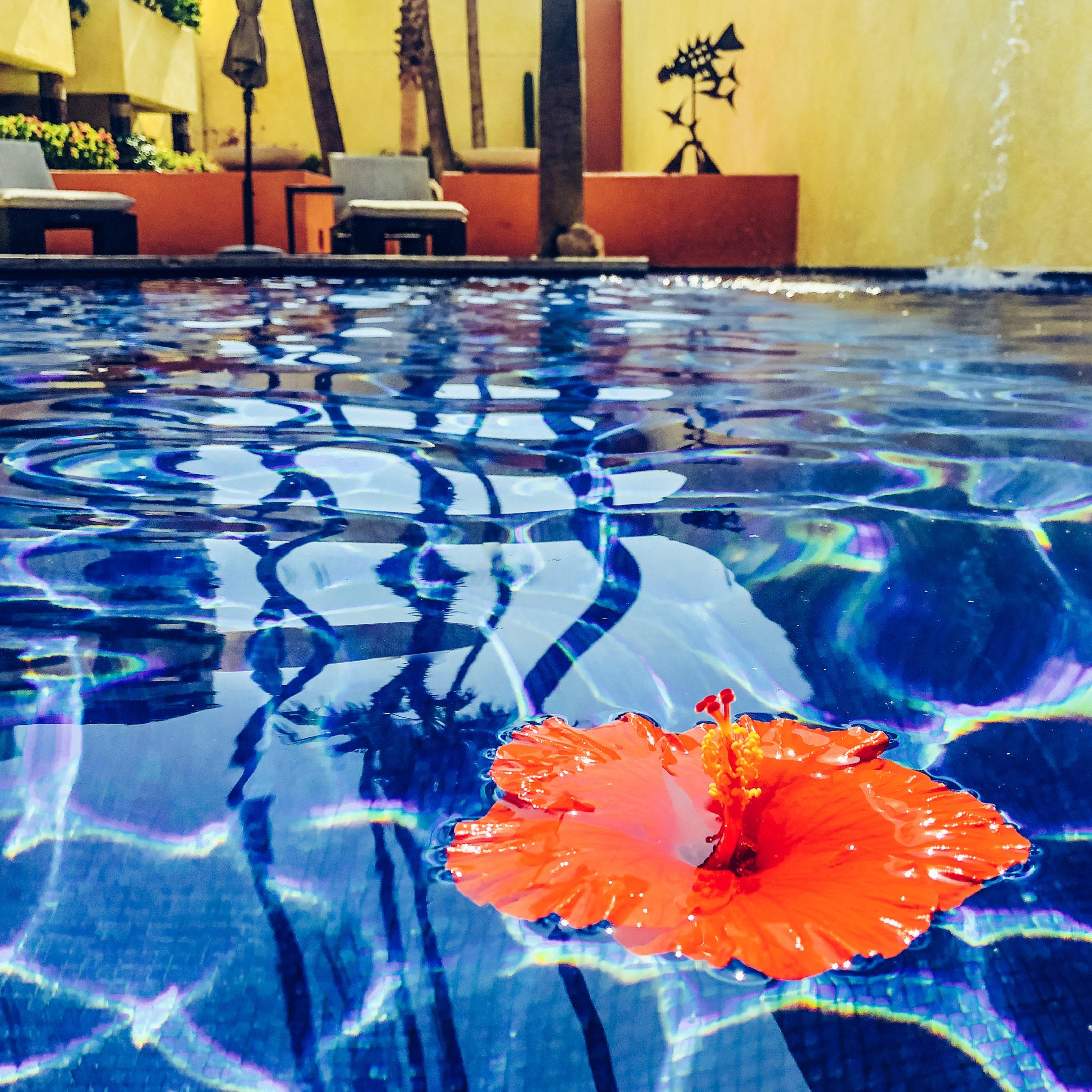Hotel Casa Natalia Boutique Adults Only San Jose del Cabo