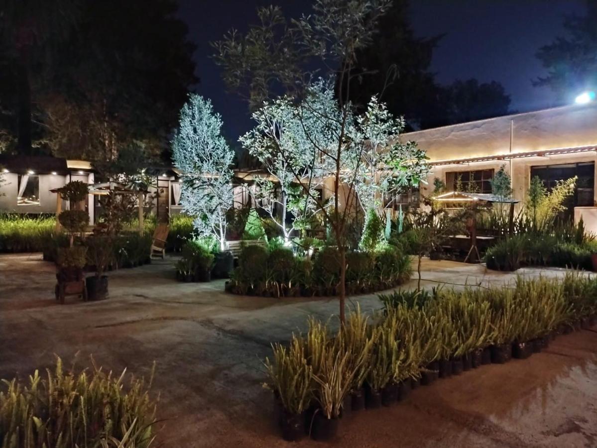 Guest house Express Quinta Soledad Mexico City