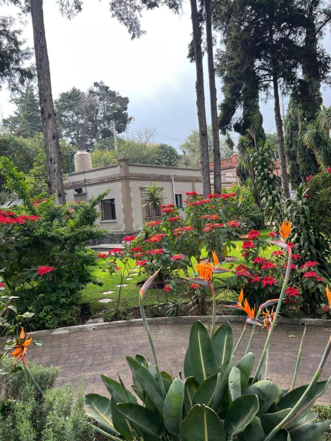 Express Quinta Soledad Guest house Mexico City