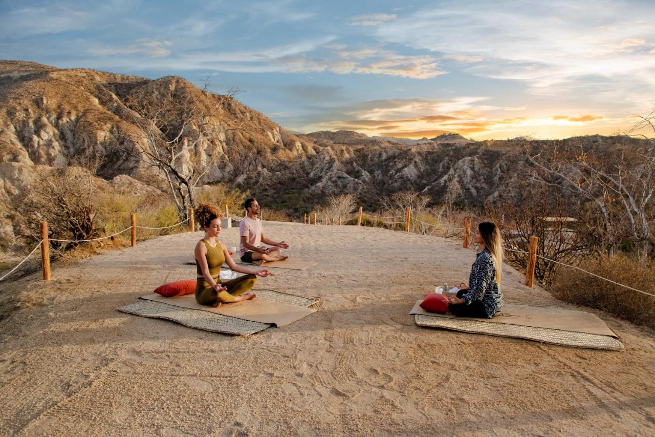 Paradisus Cabos (adults Only) 5*