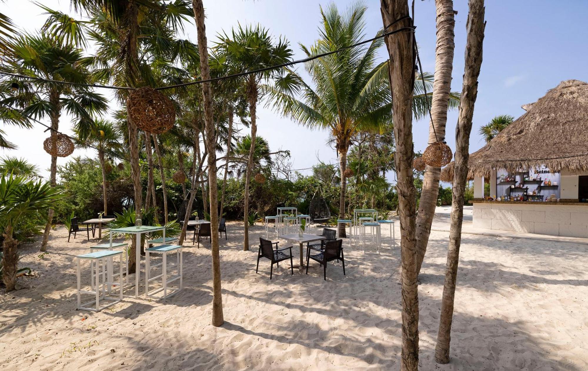 Paradisus (adults Only) Resort 5*