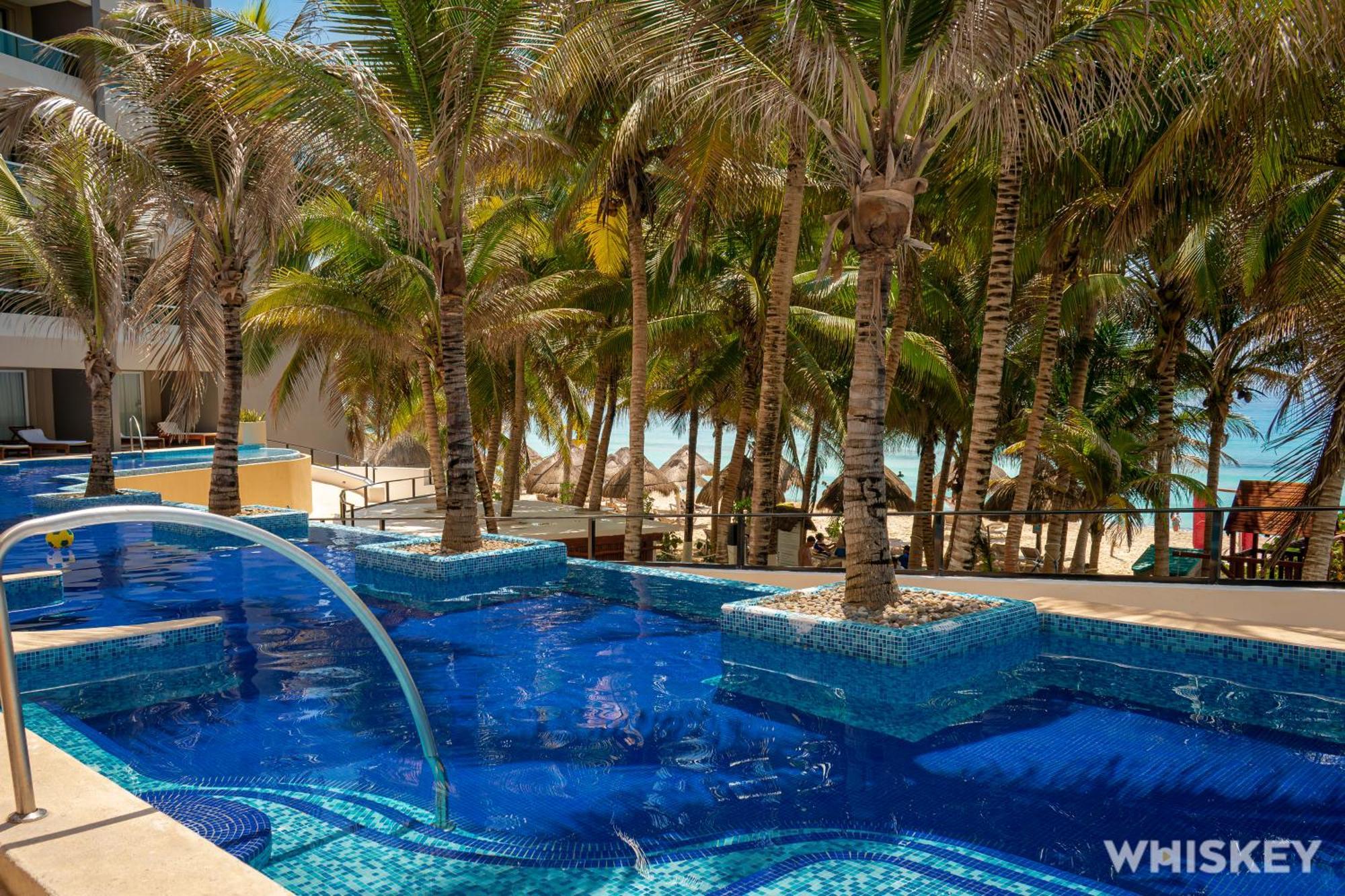 Flamingo Cancun