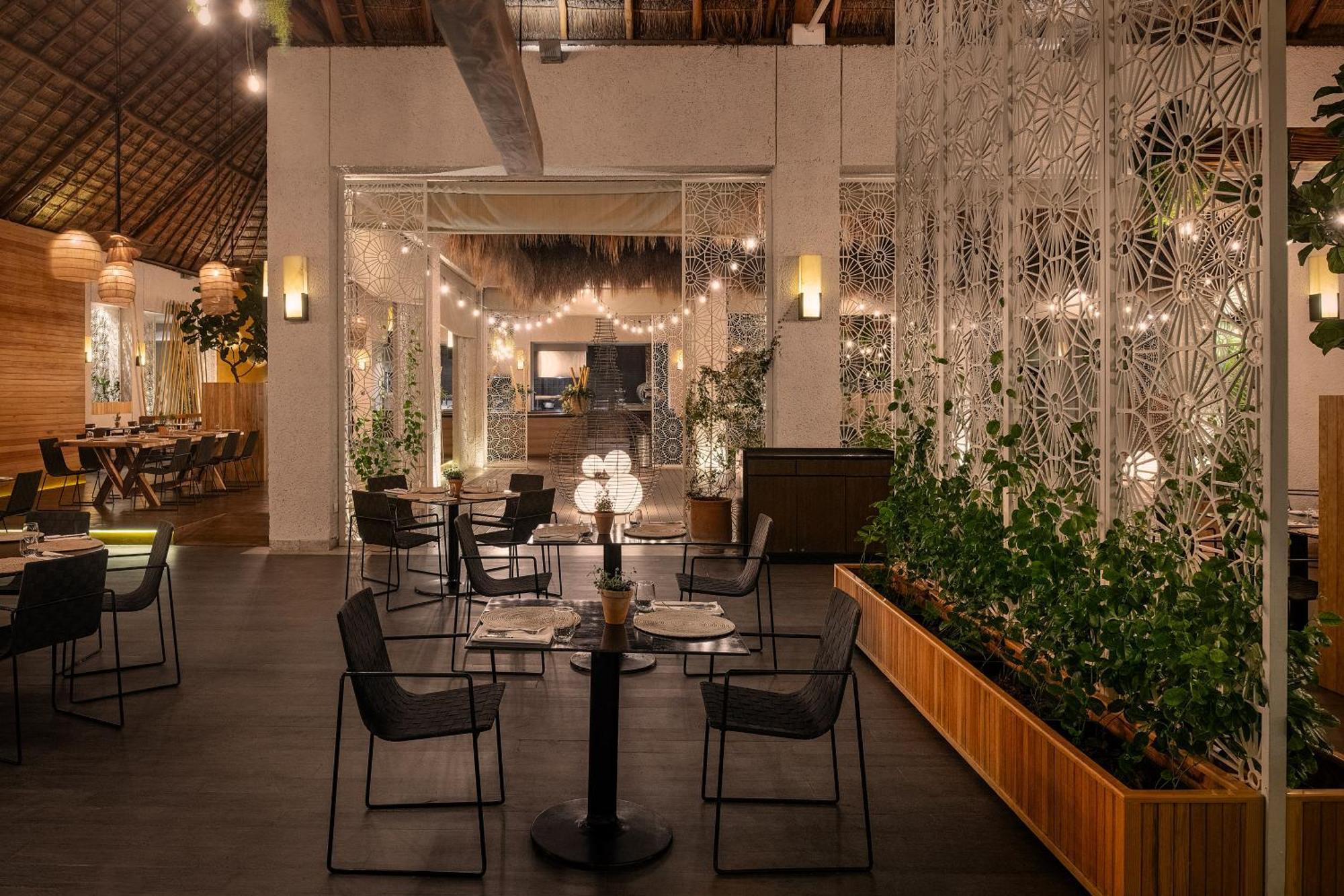 Paradisus (adults Only) Resort Playa del Carmen