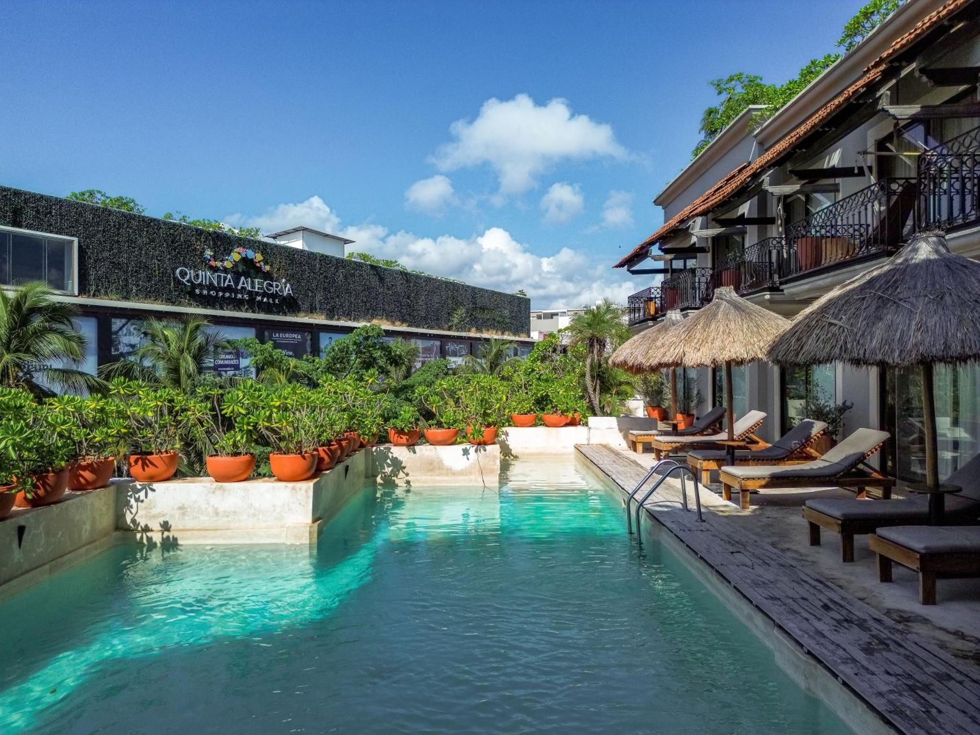 Caribbean Paradise & - 5th Avenue