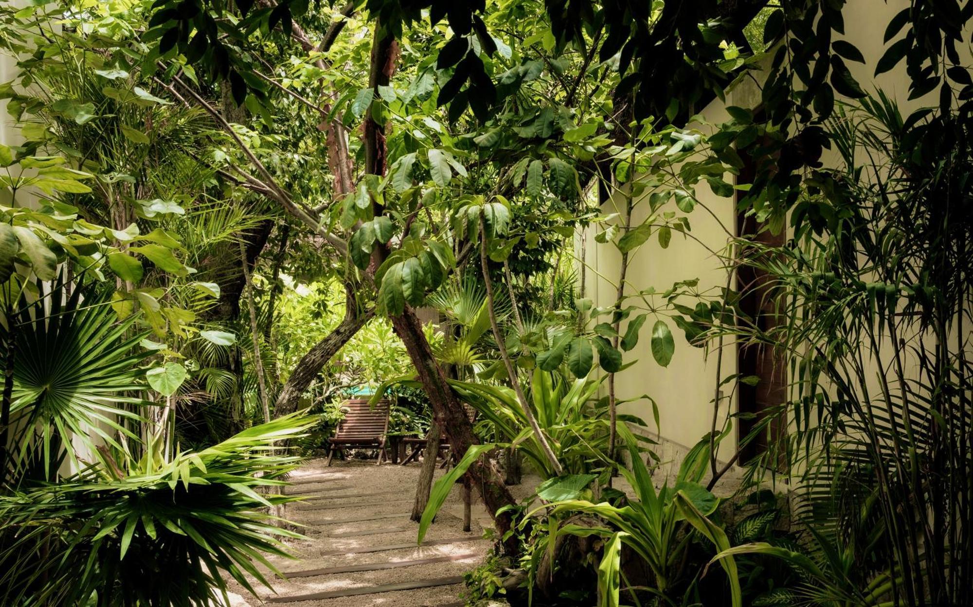 Villa Jungle Keva & Venue Tulum