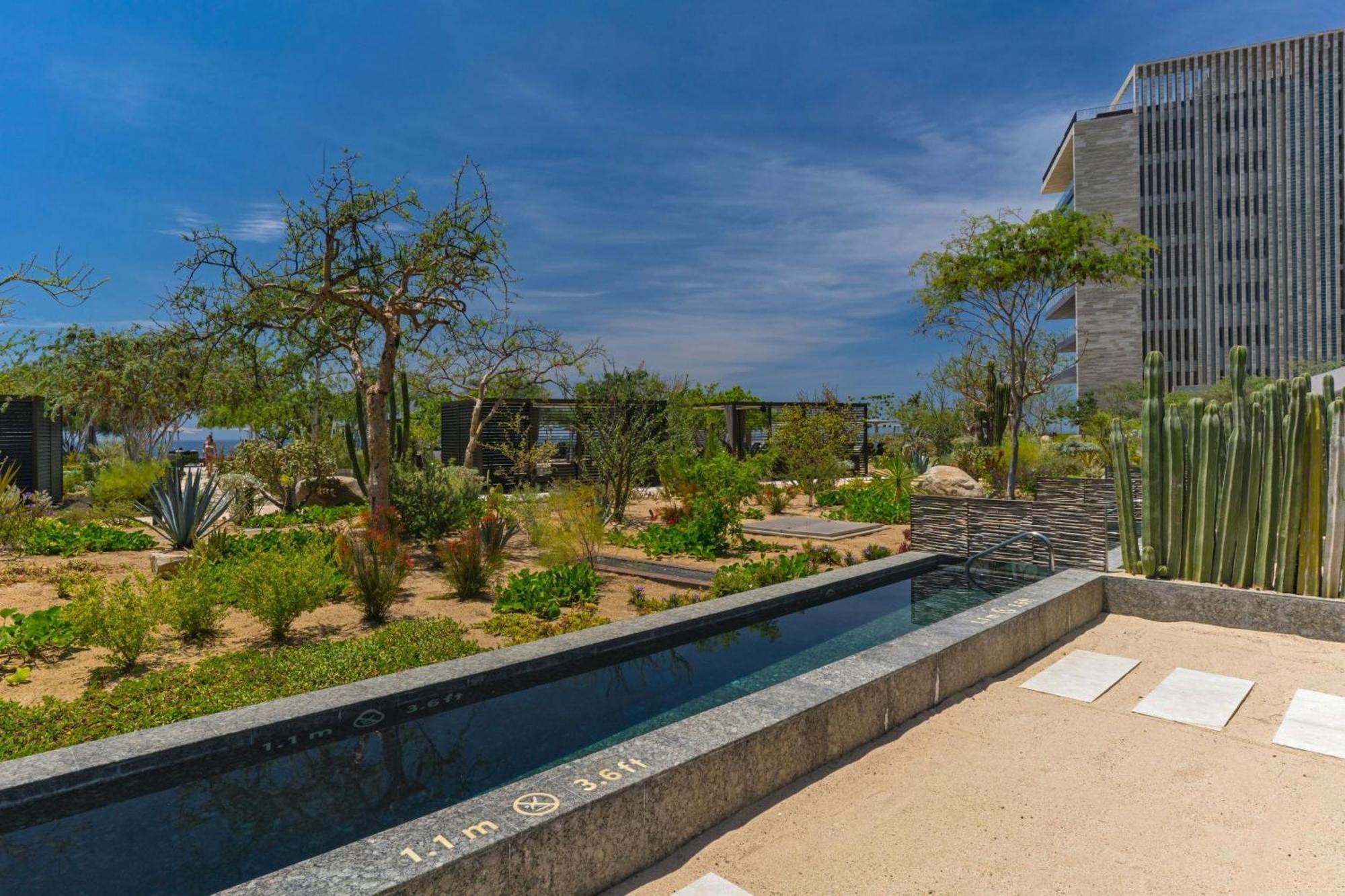 Solaz, A Luxury Collection Resort, Cabos Hotel