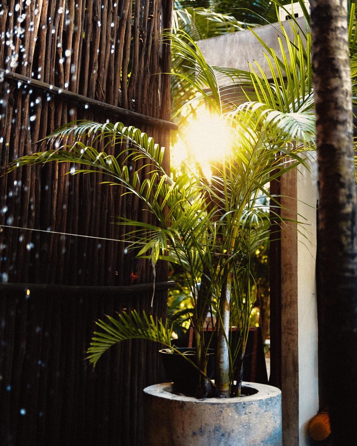 Hotel Mia Tulum Beachfront Resort - Ocean View Suites And Beach Club Tulum