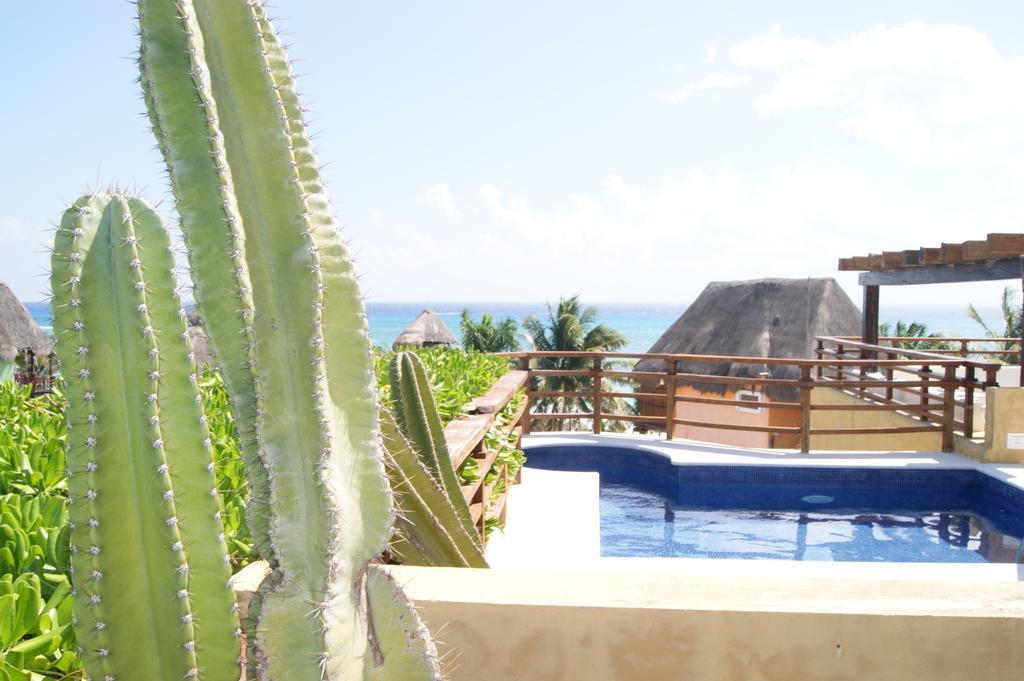 Pueblito Escondido By Playa Moments
