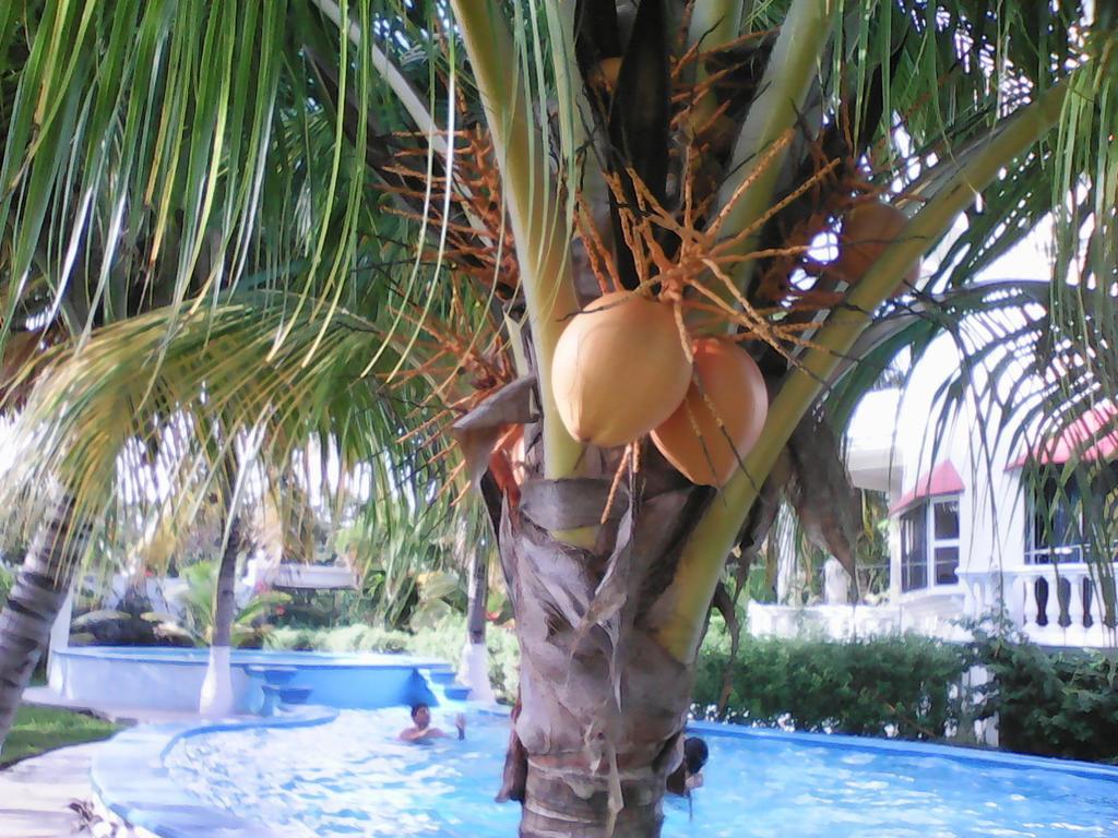 Mansion Giahn Bed & Breakfast Cancun