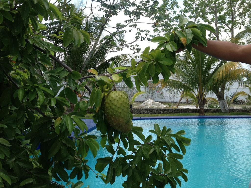 Bed & Breakfast Mansion Giahn