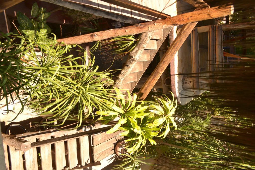 Hotel La Posada Del Sol Boutique Hotel Tulum 3*