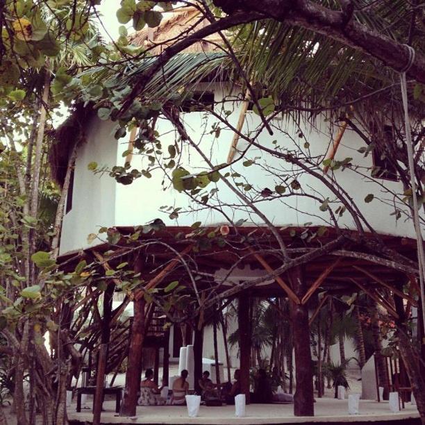Casa Violeta